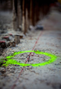 Close-up of text on footpath