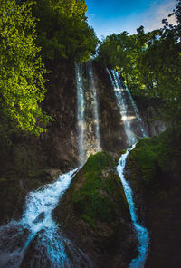 Low angle view of waterfall in forest