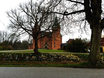 Trees and built structure against sky