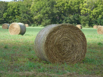 Hay bales on grassy field