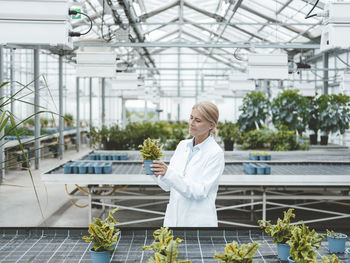 Biologist analyzing plants in greenhouse