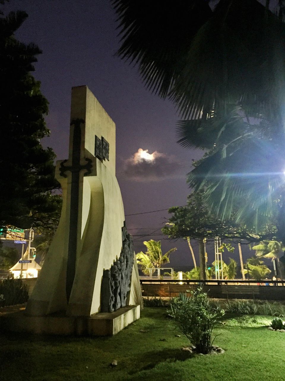 STATUE OF PALM TREES AT NIGHT