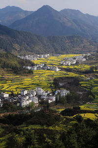 High angle view of trees on landscape