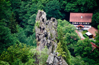 High angle view of rock formation amidst trees