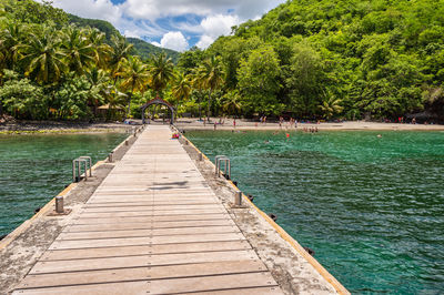 Pier amidst trees against sky