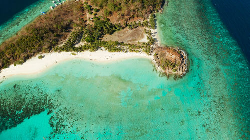 Tourists enjoy tropical beach. tropical island with sand beach, palm trees. malcapuya