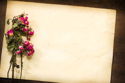 Close-up of pink rose on table