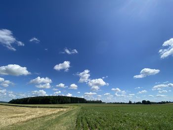 Scenic view of agricultural field against sky