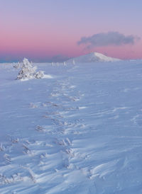 Winter landscape in the karkonosze mountains. the sunset. violet sky. snowball peak. 