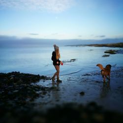 Rear view of man walking with dog on beach