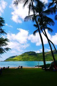 Palm trees on beach against sky