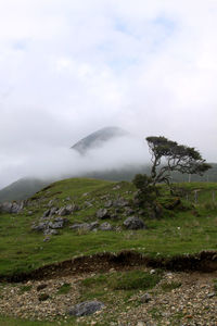 View of grassy landscape against cloudy sky