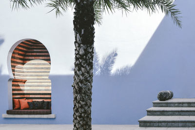 Palm tree against a blue courtyard wall