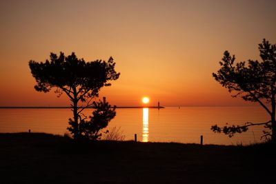 Silhouette tree by baltic sea against sky during sunrise