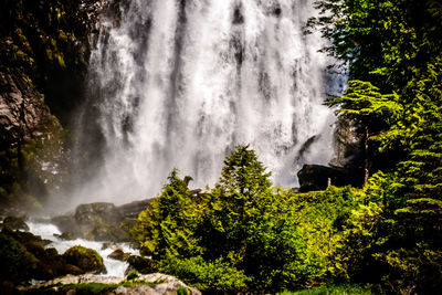 Waterfall in a forest