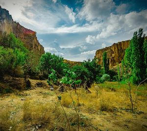 Scenic view of field against cloudy sky