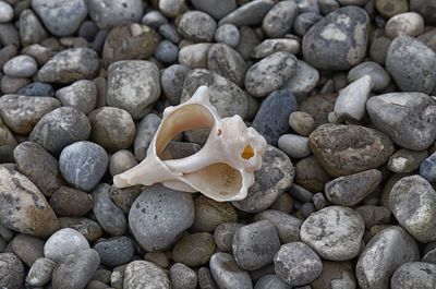 Close-up of pebbles on beach