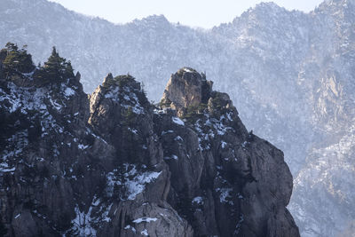 Close-up of silhouette tree against snow covered mountains