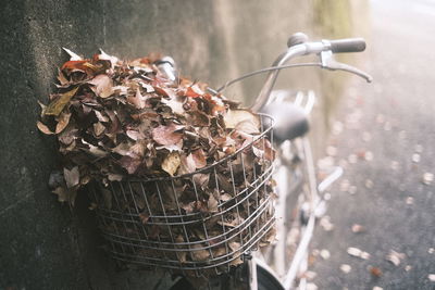 Close-up of leaves in bicycle basket