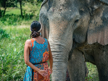 Close-up of elephant