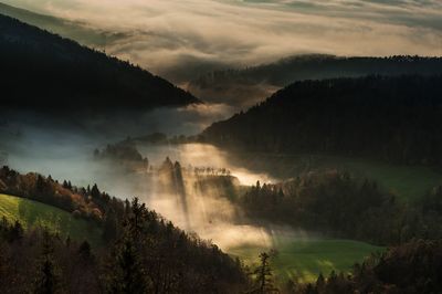 Scenic view of forest against cloudy sky