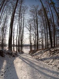 Snow covered street against trees on sunny day during winter