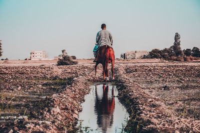 Rear view of man horseback riding on field against clear sky