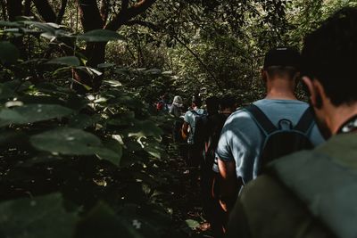 Rear view of people in the forest