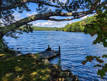 Scenic view of lake