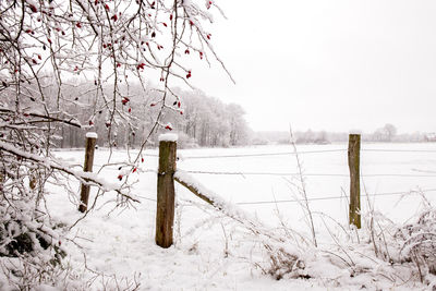 Snow covered wooden post on field during winter