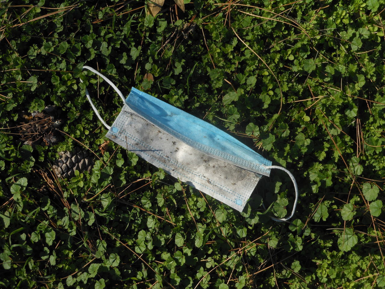 HIGH ANGLE VIEW OF ABANDONED HANGING FROM TREE