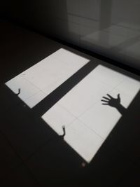 High angle view of silhouette people standing on tiled floor