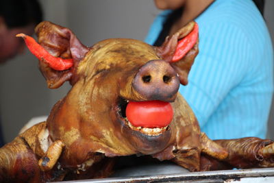 Close-up of roasted pig in tray