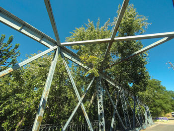 Low angle view of trees in forest against blue sky