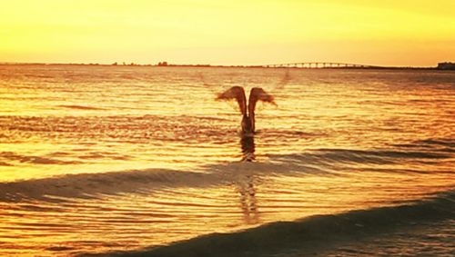 Scenic view of sea at sunset