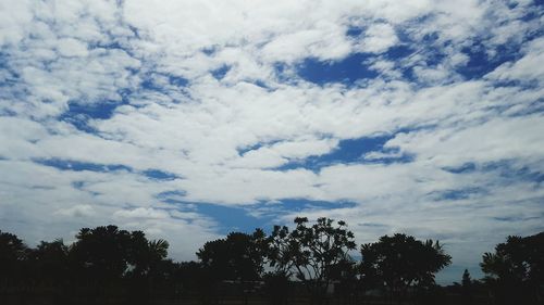 Low angle view of trees against cloudy sky