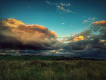 Scenic view of grassy field against cloudy sky