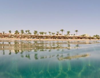 Reflection of trees in water against clear sky