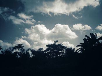 Low angle view of silhouette trees against sky