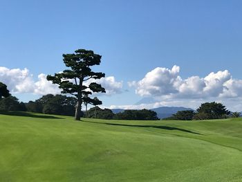 Scenic view of golf course against sky