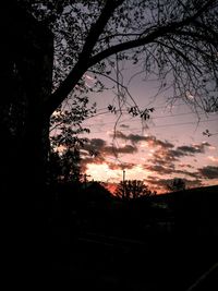 Silhouette trees against sky at sunset