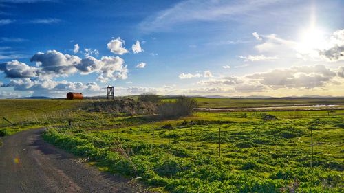 Footpath on grassy field