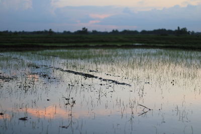 Scenic view of lake against sky during sunset