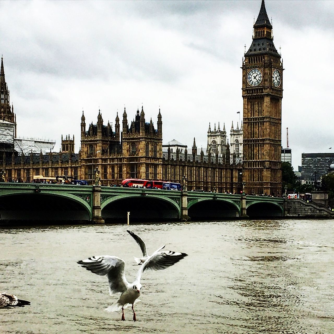 architecture, river, clock tower, water, bridge - man made structure, built structure, building exterior, bird, animal themes, travel destinations, connection, day, sky, cloud - sky, riverbank, animals in the wild, outdoors, no people, city