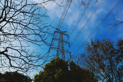 Low angle view of trees against sky