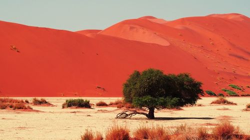 Scenic view of desert against clear sky