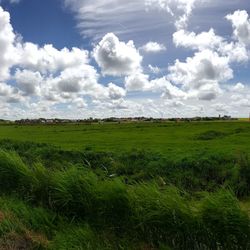 Scenic view of grassy field against cloudy sky