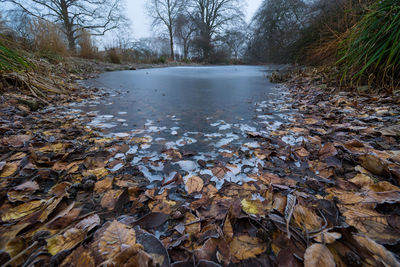 Scenic view of landscape against sky during autumn