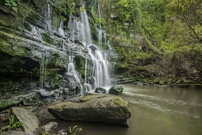 Close-up of waterfall against trees