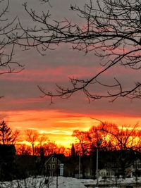 Silhouette trees against sky during sunset